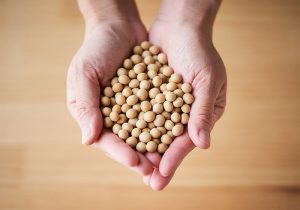 日本食に欠かせない大豆の栄養や効果効能とは
