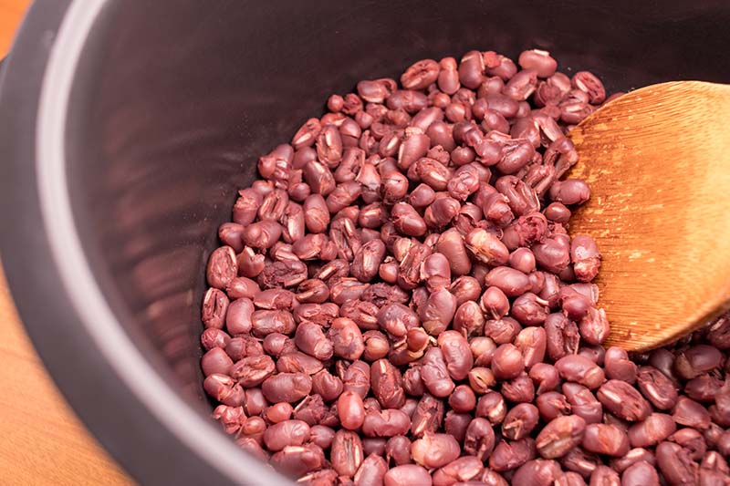 小豆の栄養成分について