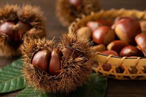 焼き栗と甘栗の違いとは？味・香り・食感・栄養価など、それぞれの違いを解説