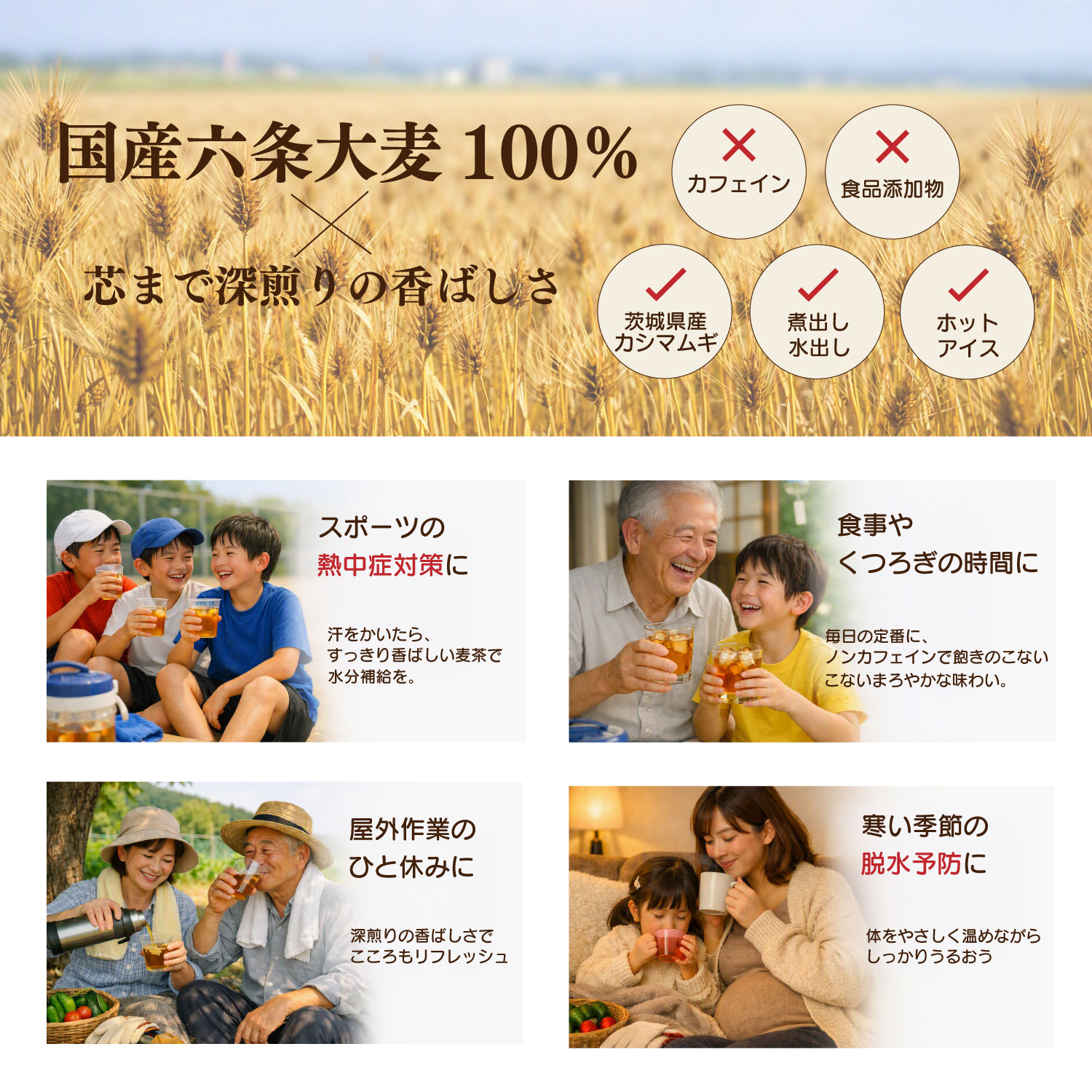 国産六条大麦100%