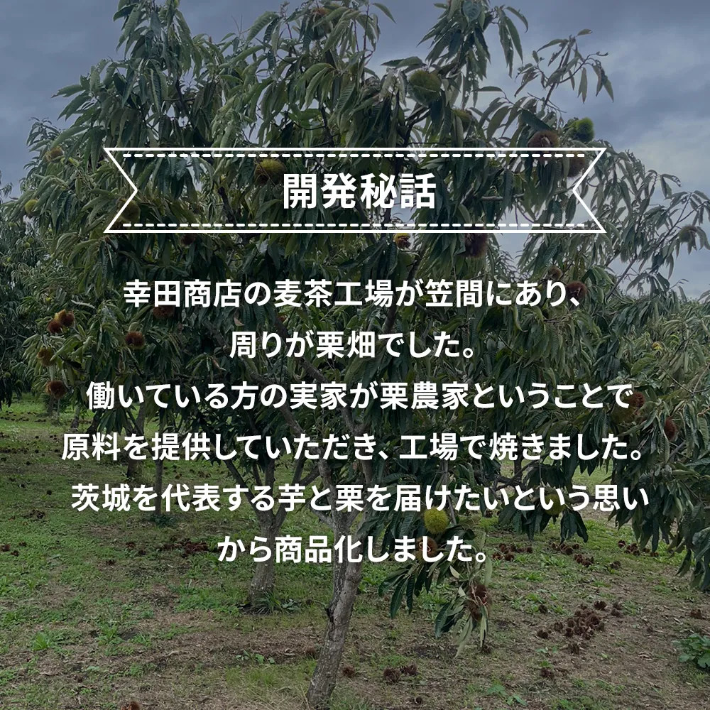 茨城県産 栗 焼き栗 120g