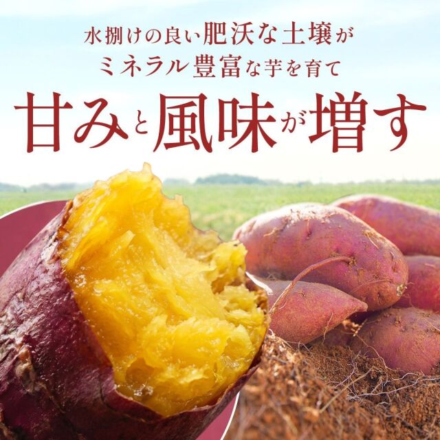 土壌