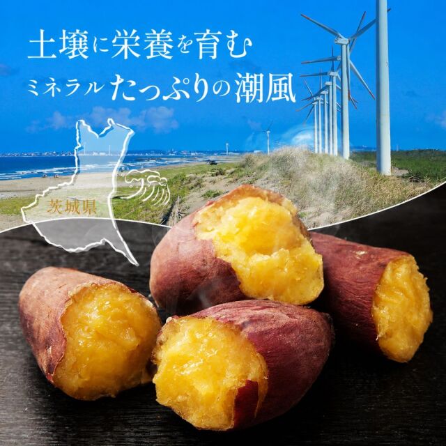 潮風