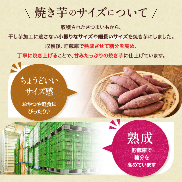 サイズ