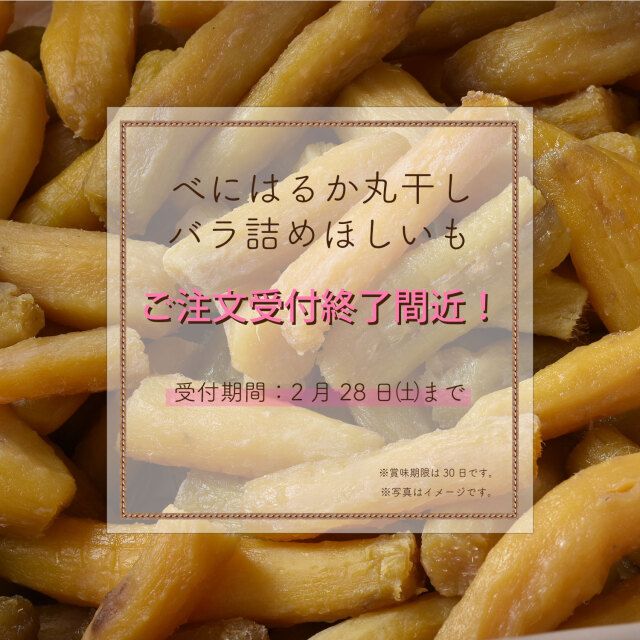 丸干しバラ詰め販売終了間近!