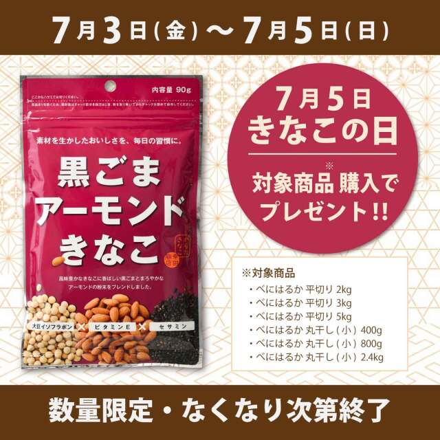 プレゼントキャンペーン