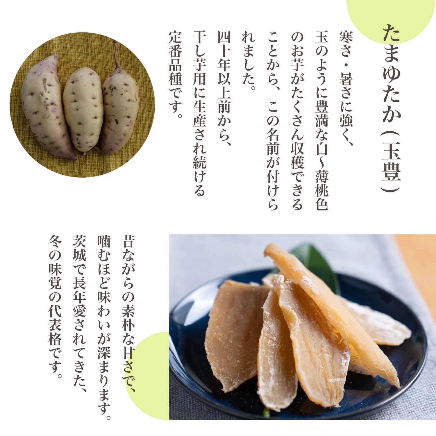 たまゆたか