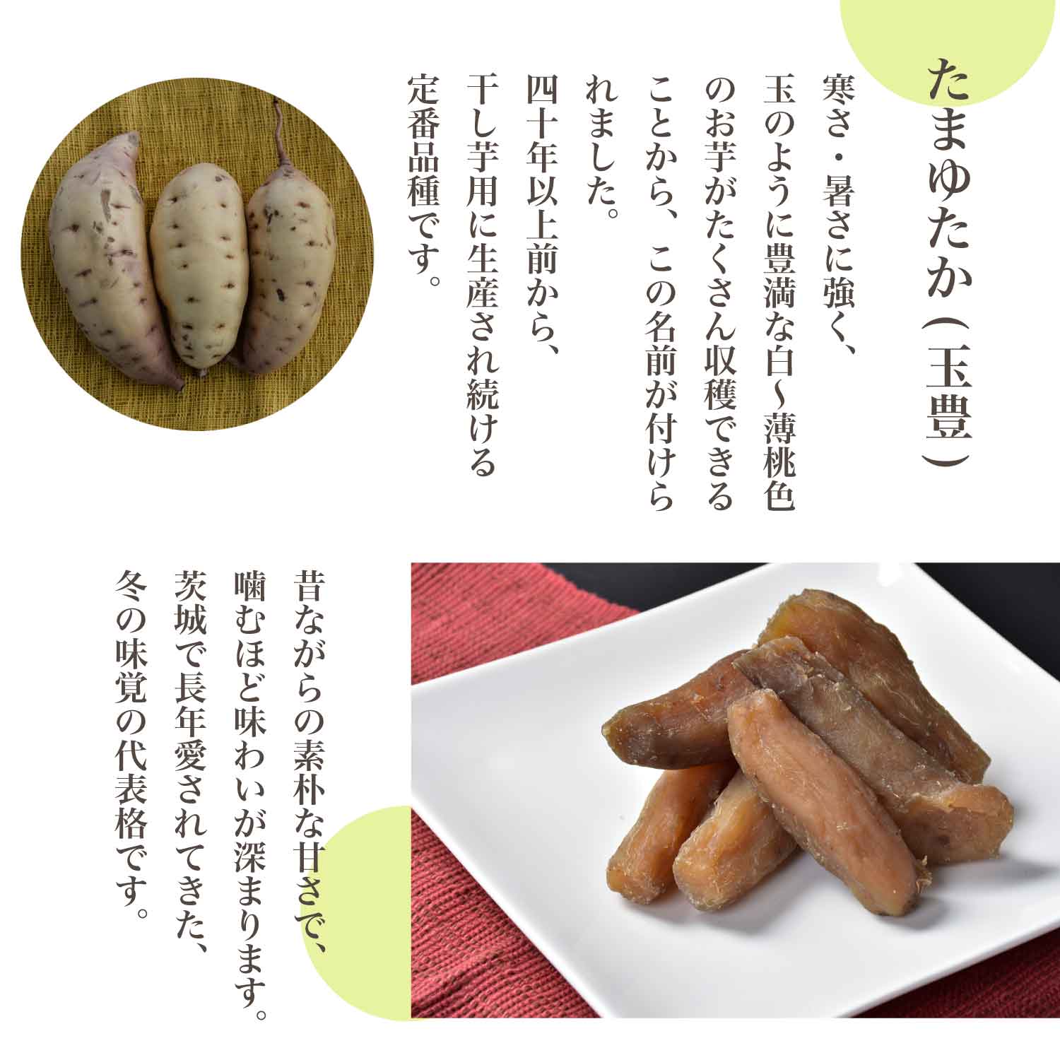 玉丸